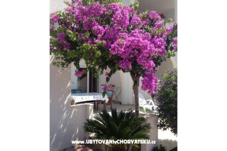 Villa Orij Apartamenty foto 5