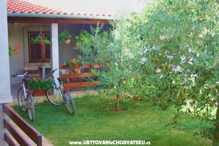 Apartamenty Danica foto 4