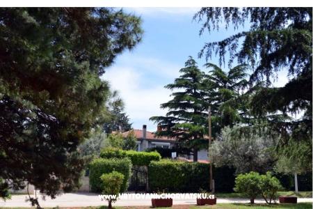 Apartamenty L foto 3