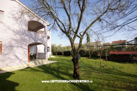 Apartamenty PETRA foto 5