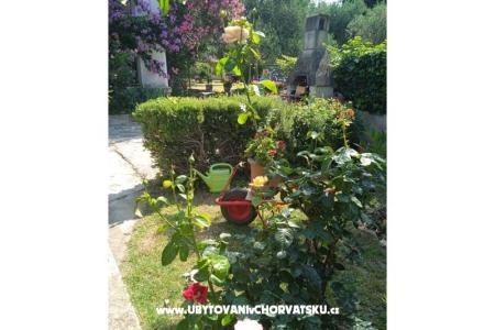 Apartamenty Majica Sv. Filip i Jakov Chorwacja