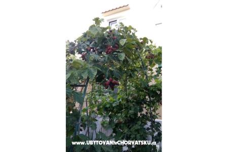 Apartamenty Matej foto 5