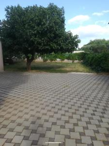 Apartamenty Colić foto 3