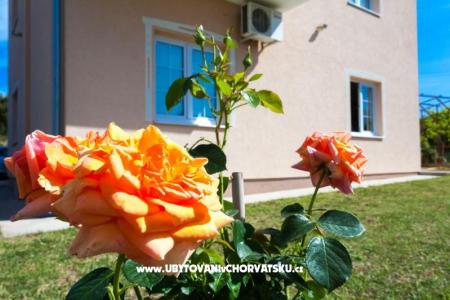 Apartamenty Sea view foto 2