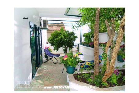 Apartamenty Elena  foto 2
