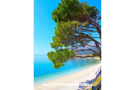 Apartamenty Helena Gradac – Podaca Chorwacja