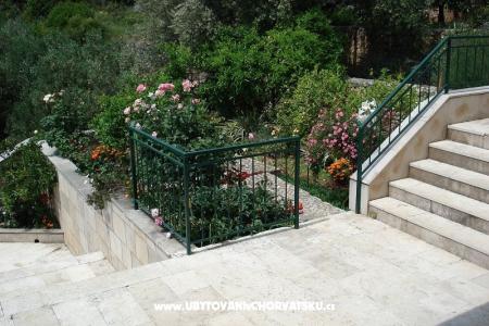 Apartamenty Ivana  foto 3