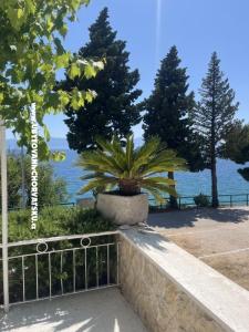 Apartamenty NIKOLA foto 3