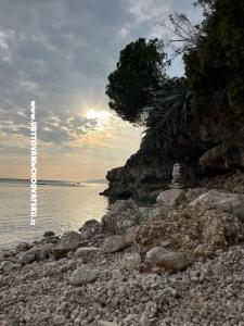 Apartamenty NIKOLA foto 5