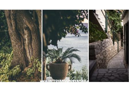 Apartamenty Ante foto 3