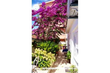 Apartamenty Jerković Gradac foto 5