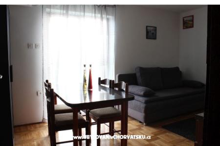 ART AND NATURE  foto 5