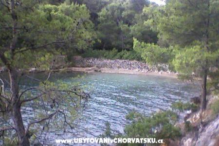 Apartamenty Vucelić foto 3
