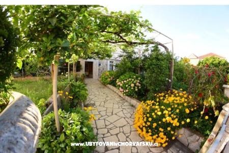 Apartamenty  Mate Slavic wyspa Hvar Chorwacja