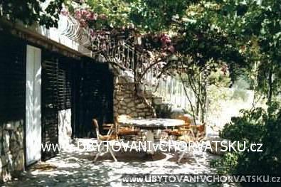 Apartamenty Bougainvillea foto 2