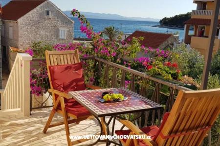 Apartamenty Mladen wyspa Hvar Chorwacja