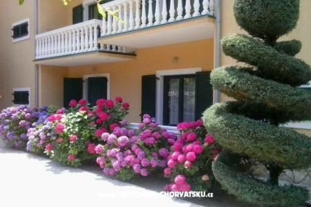 Villa Carevic foto 4