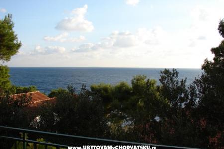 Villa Magnolia foto 2