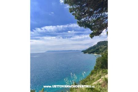 Apartamenty  Ines foto 4