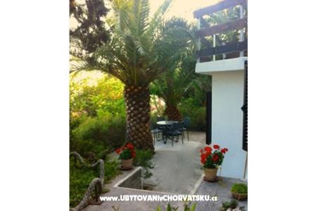 Apartament Lavanda foto 4