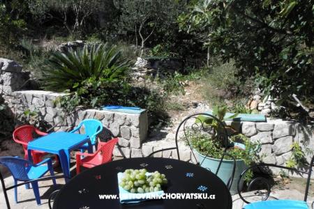 Apartamenty Šime Pelješac foto 5