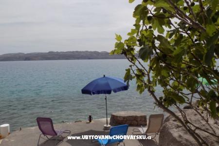 Apartamenty Alojz foto 3