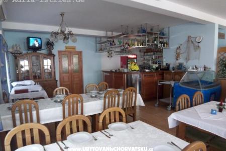 Apartamenty Delfin foto 5
