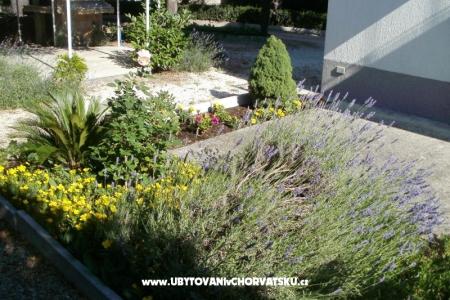 Apartamenty Grgin foto 5