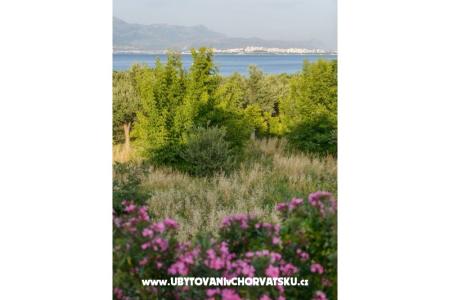 Apartamenty Tonka foto 4