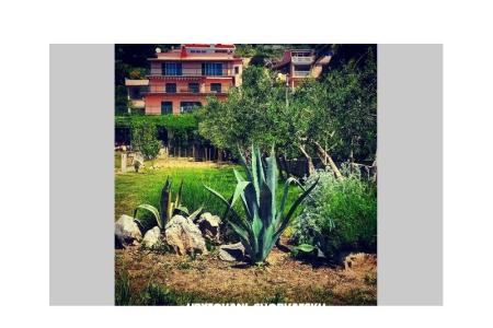 Apartamenty Irina, Duće-Omiš foto 2