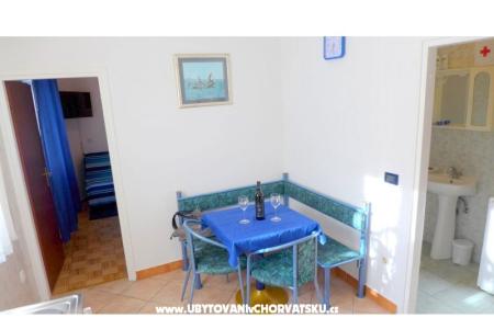 Zvijezda mora foto 5