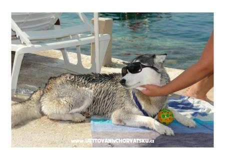 AG Komarna | Pelješac B. Apartamenty Klek Chorwacja