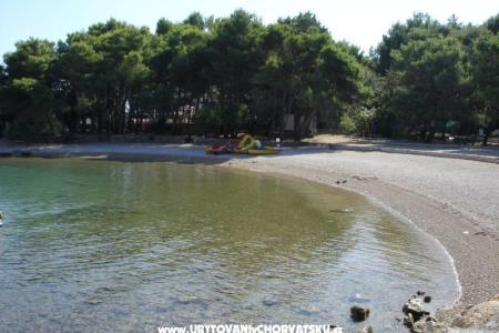 Apartamenty Grzalja-Rozic Krk foto 5