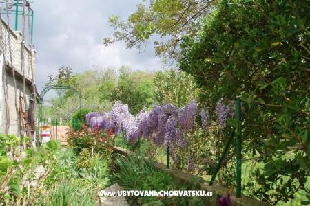 Apartamenty Petra foto 5