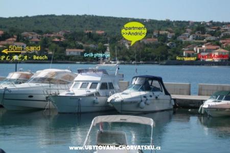 Apartamenty >>Andrić foto 2