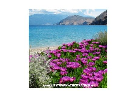 Apartamenty Capic foto 3