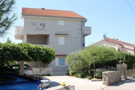 Apartamenty Vila Maslina wyspa Krk Chorwacja