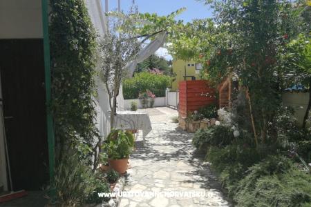 Studio Apartamenty Cene foto 4