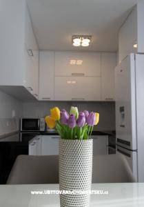 Apartament ARIA foto 3