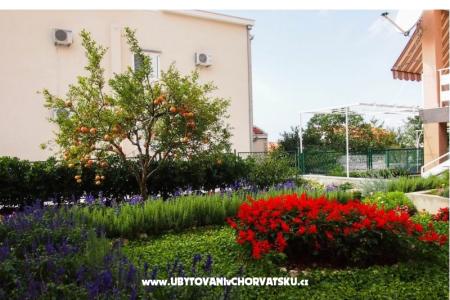 Apartamenty Vrpolje  foto 2