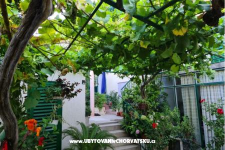 Apartamenty Vinea foto 2