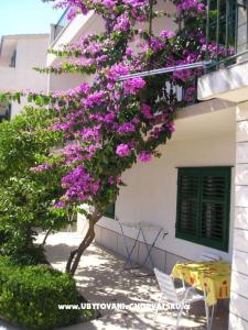 Apartamenty Villa Luce foto 2