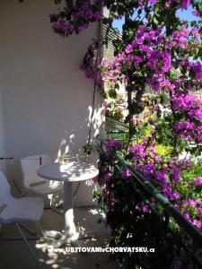 Apartamenty Villa Luce foto 3