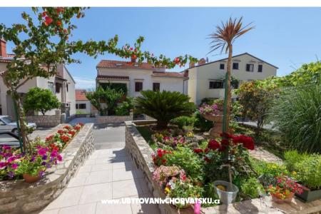 Apartamenty Avvi Mali Losinj Chorwacja