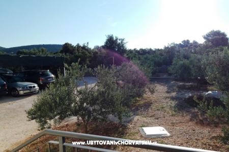 Apartamenty Liljana foto 5