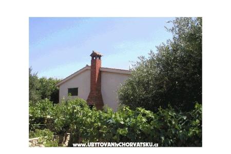 Dom Ticinovic  foto 2