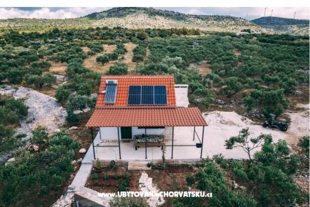 Green Dom (Dogs are welcome) foto 3