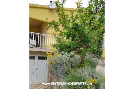 Dom wakacyjny Martina foto 4