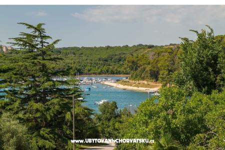 Apartamenty Tony foto 3