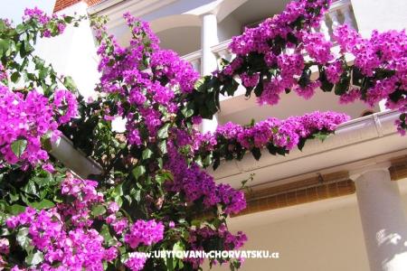 Apartamenty Paloma blanca - Oaza Reg foto 2